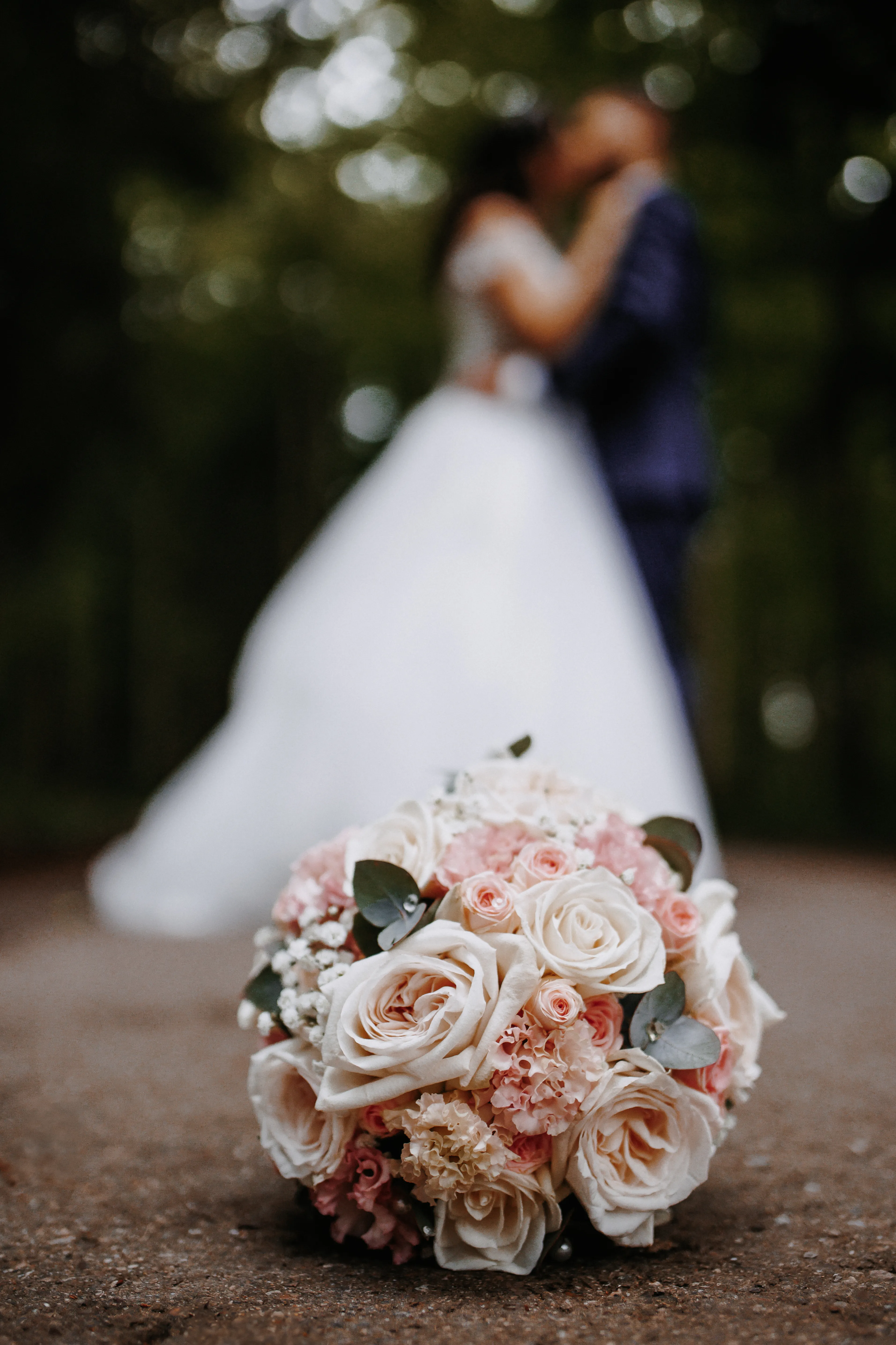 Steve Photography – 117 ergebnis